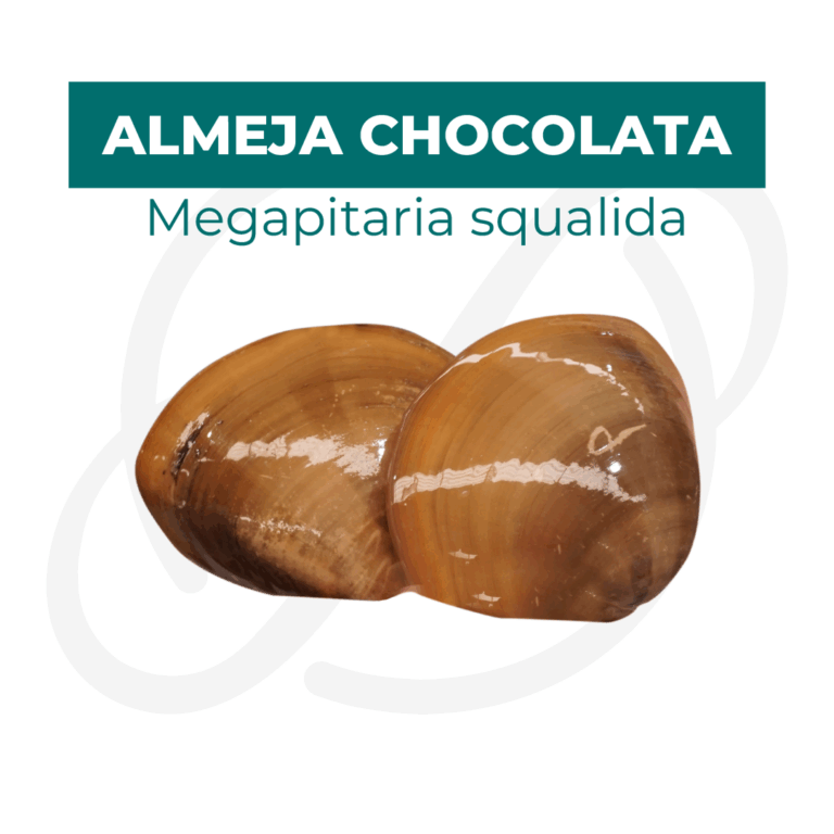 Productos 2025_infografía lobina copia