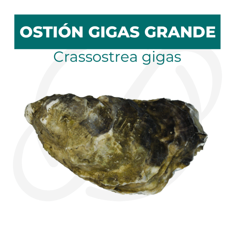 Productos 2025_infografía lobina copia 11