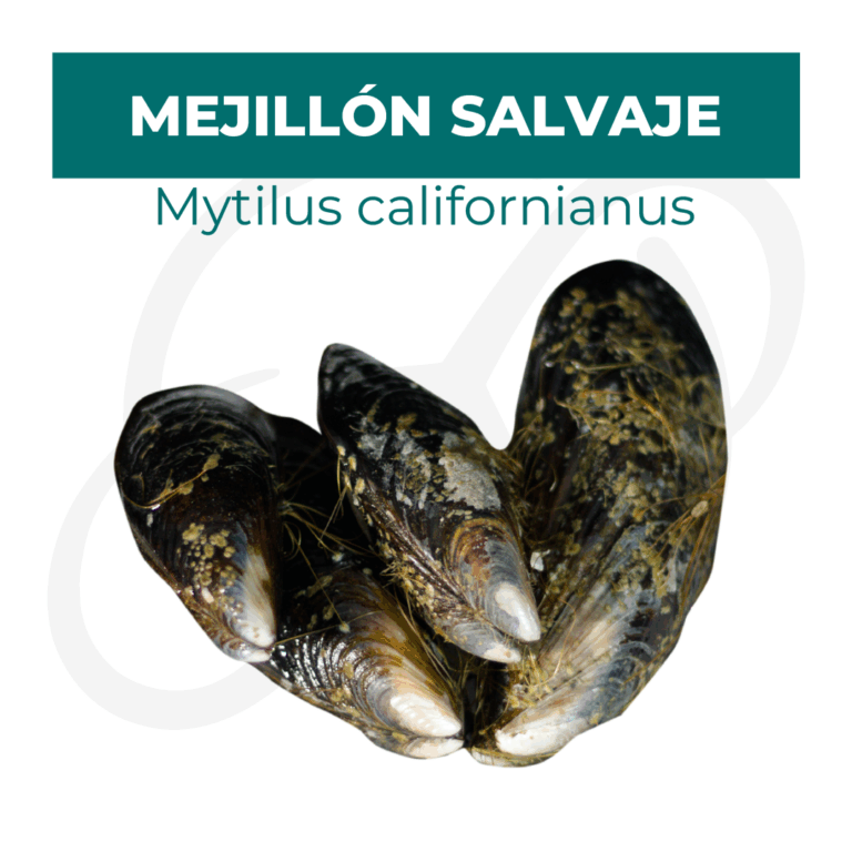 Productos 2025_infografía lobina copia 14