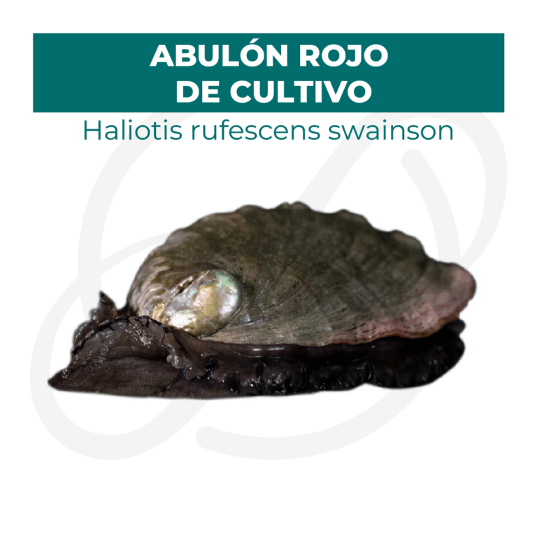 Productos 2025_infografía lobina copia 15