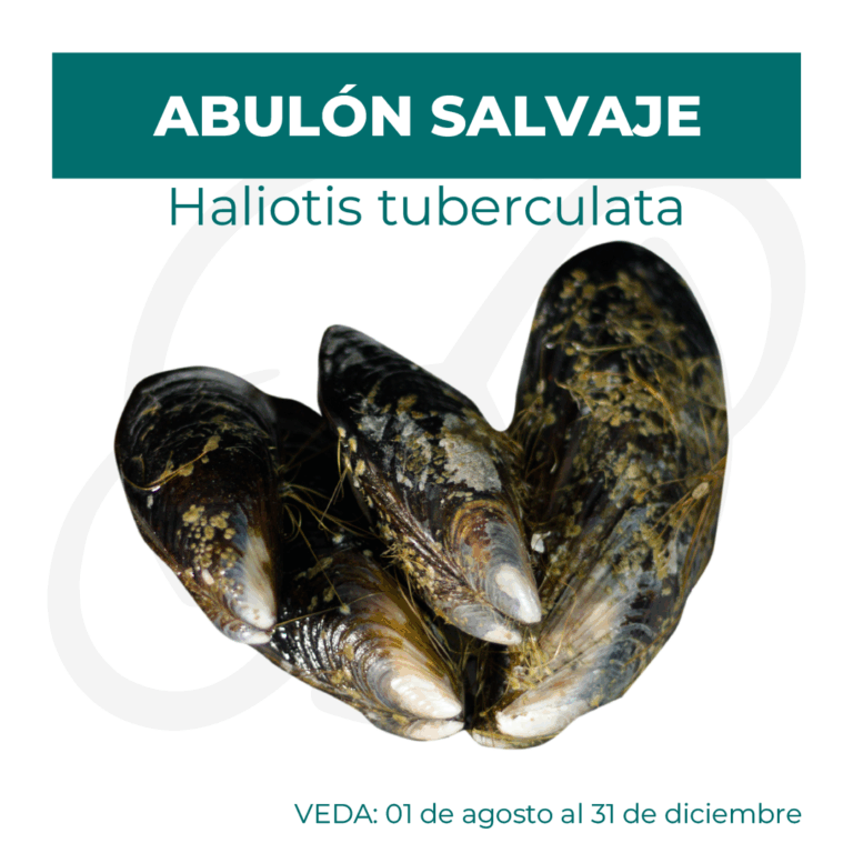 Productos 2025_infografía lobina copia 16