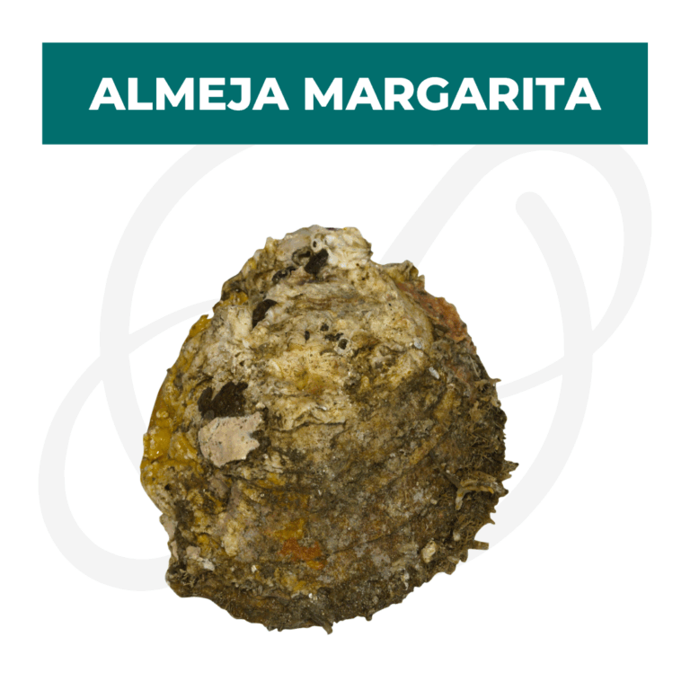 Productos 2025_infografía lobina copia 17