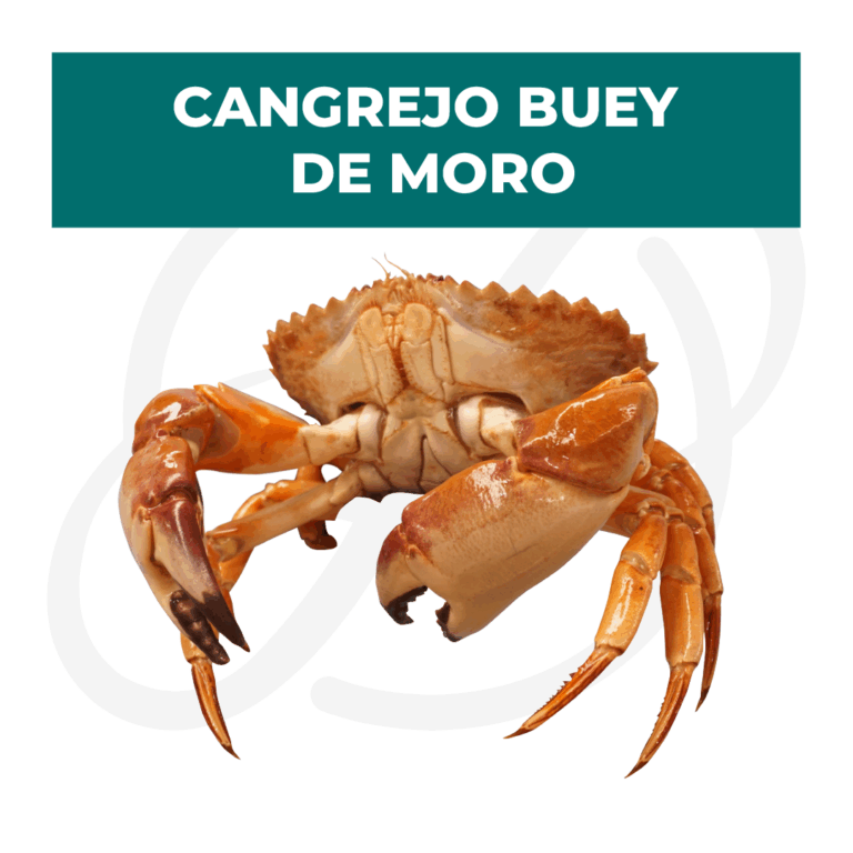 Productos 2025_infografía lobina copia 20