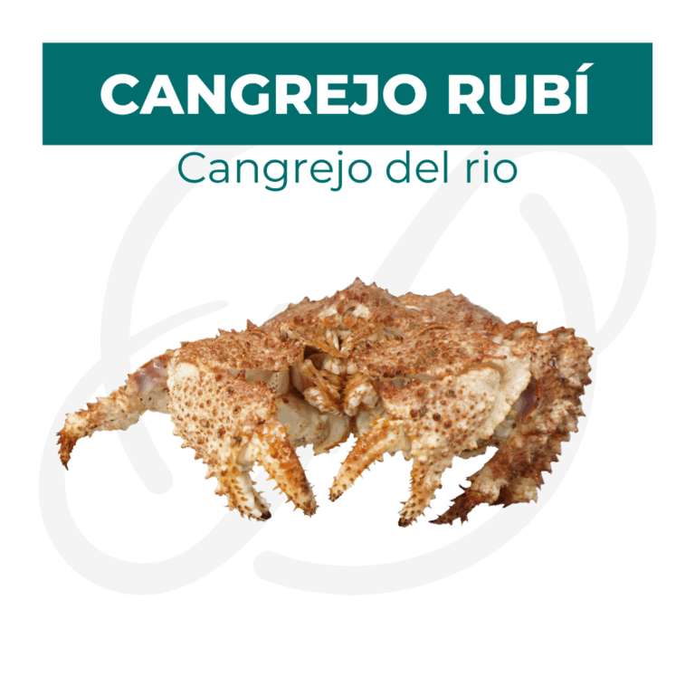 Productos 2025_infografía lobina copia 21