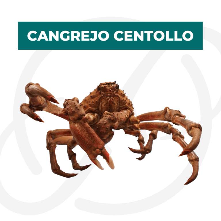 Productos 2025_infografía lobina copia 22