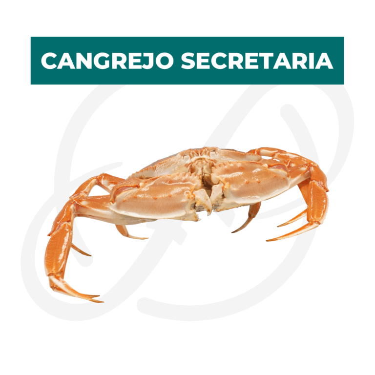 Productos 2025_infografía lobina copia 23