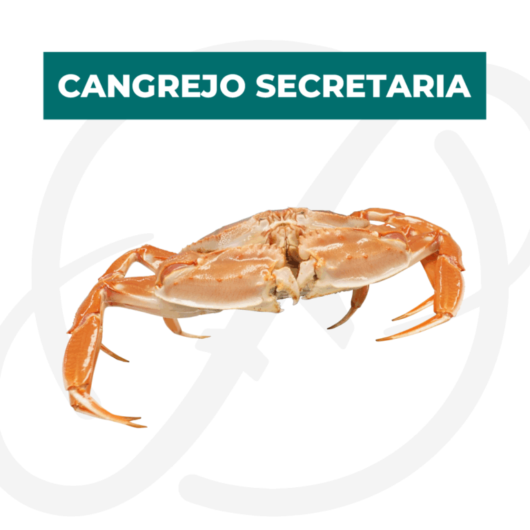 Productos 2025_infografía lobina copia 23