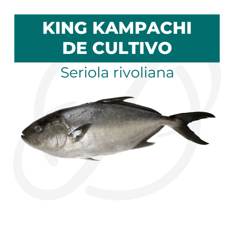 Productos 2025_infografía lobina copia 24