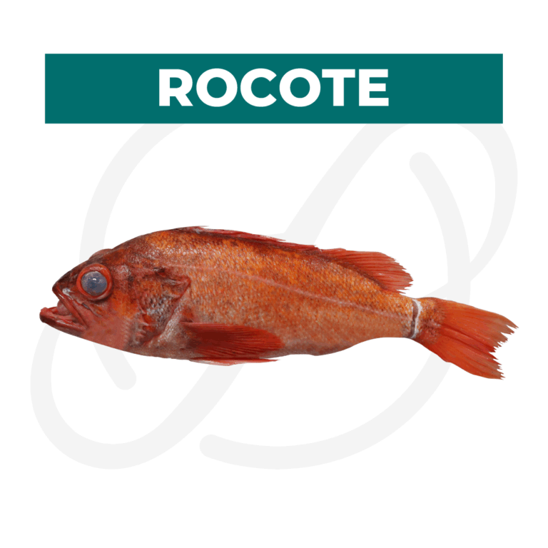 Productos 2025_infografía lobina copia 25