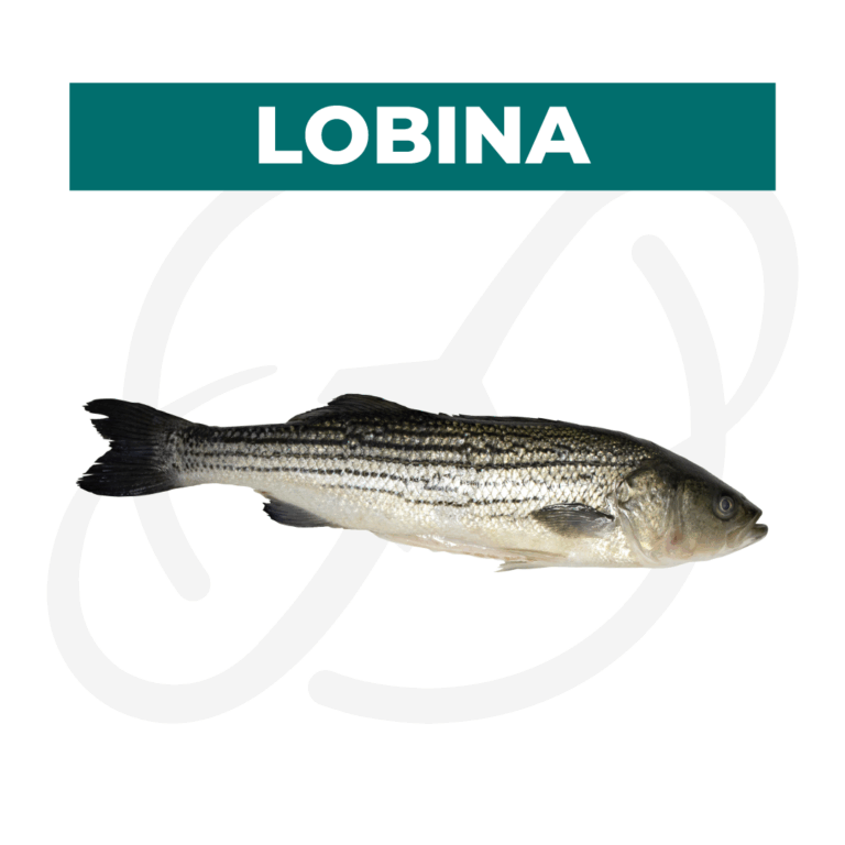 Productos 2025_infografía lobina copia 27