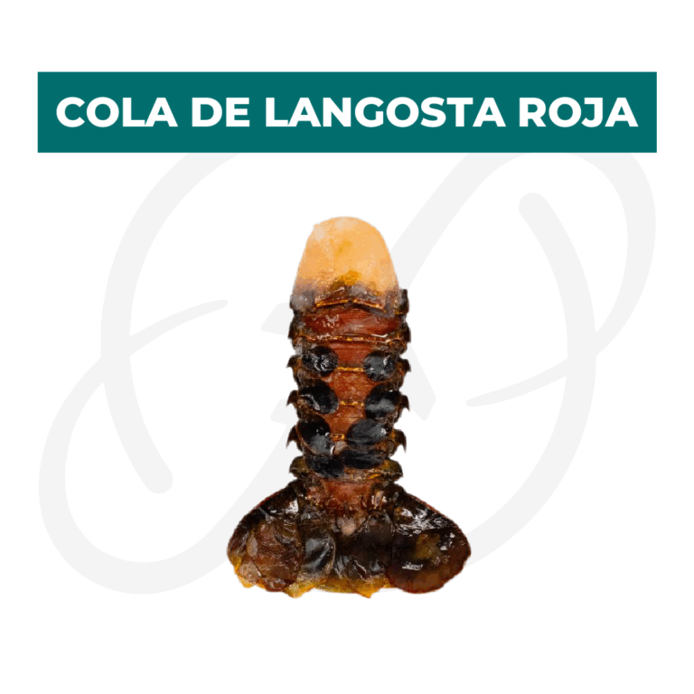 Productos 2025_infografía lobina copia 28