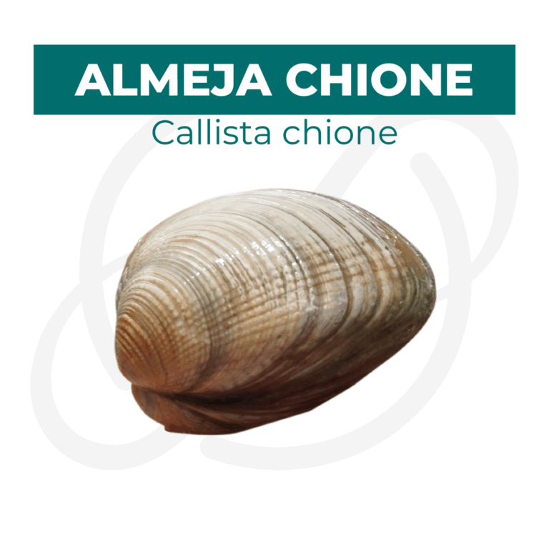 Productos 2025_infografía lobina copia 3