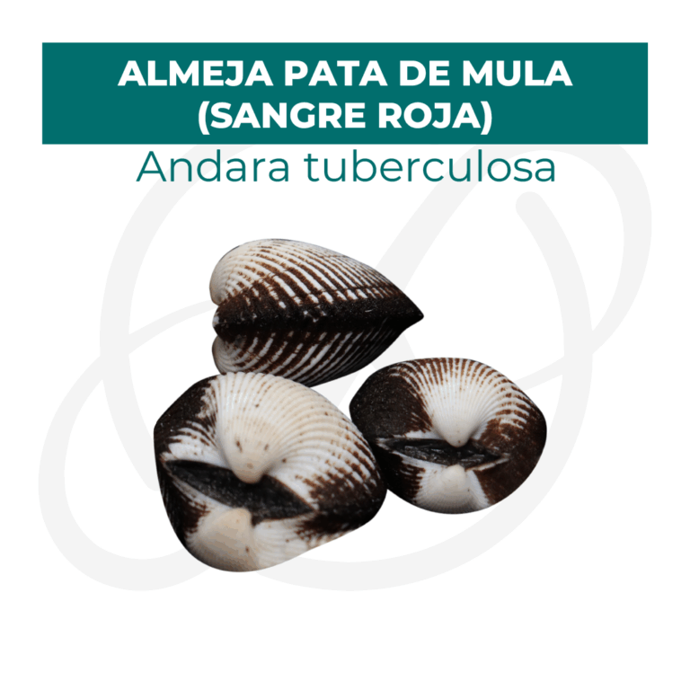 Productos 2025_infografía lobina copia 4