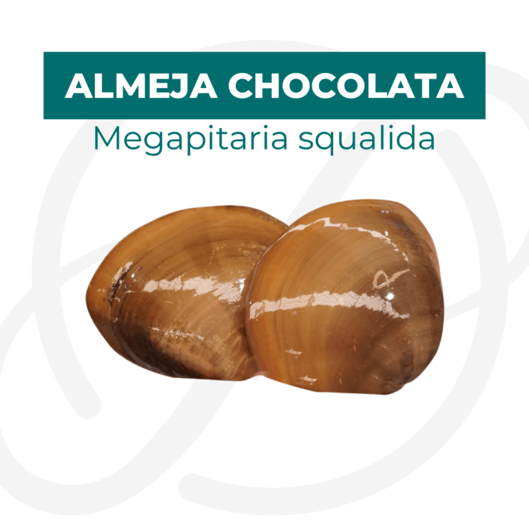 Productos 2025_infografía lobina copia