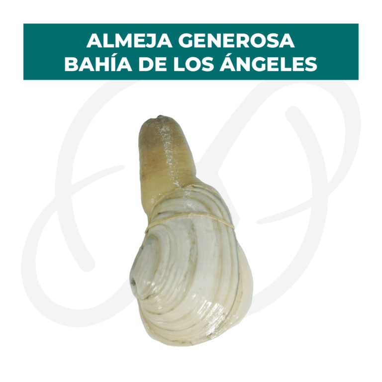 Productos 2025_infografía lobina copia 30