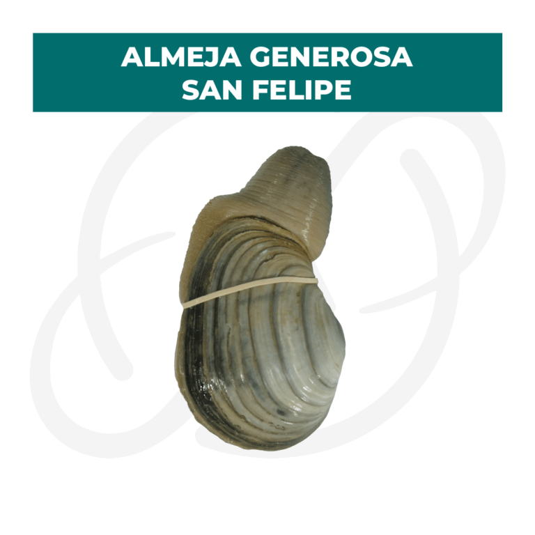 Productos 2025_infografía lobina copia 31