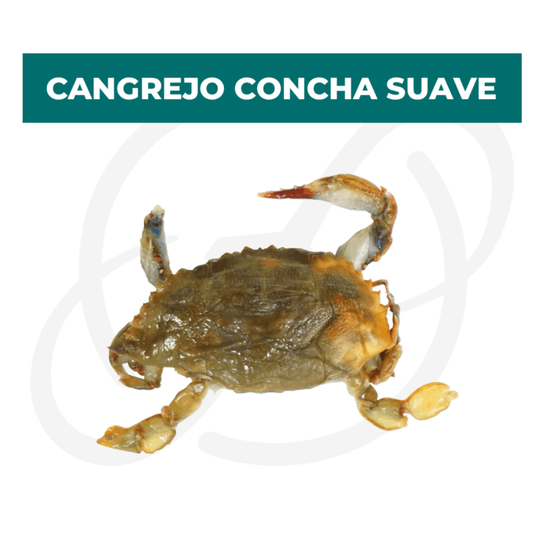 Productos 2025_infografía lobina copia 35