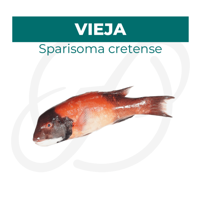 Productos 2025_infografía lobina copia 36