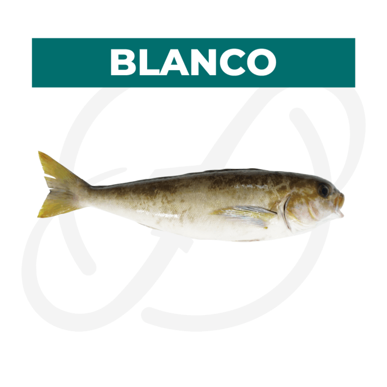 Productos 2025_infografía lobina copia 38